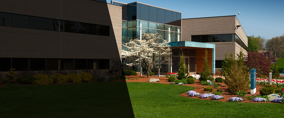 Havertown Landscapers