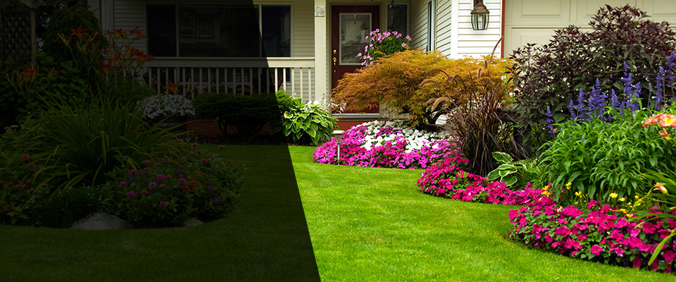 Havertown Landscapers