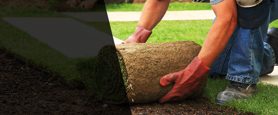 Havertown Landscapers